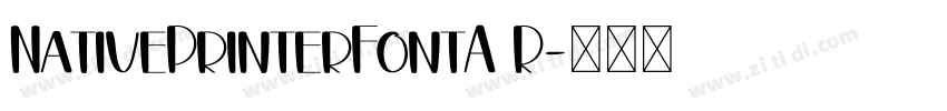 NativePrinterFontA R字体转换